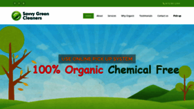 What Savvygreencleaners.com website looked like in 2021 (3 years ago)