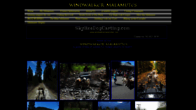 What Skylinedogcarting.com website looked like in 2021 (3 years ago)
