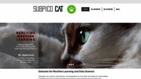What Subpicocat.com website looked like in 2021 (3 years ago)