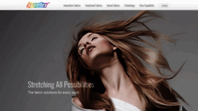 What Spanflex.com.tw website looked like in 2021 (4 years ago)