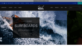 What Surfstationstore.com website looked like in 2021 (3 years ago)