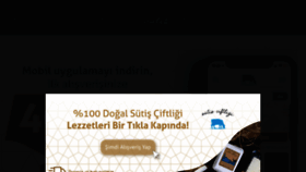 What Sutis.com.tr website looked like in 2021 (4 years ago)
