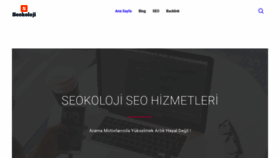 What Seokoloji.com website looked like in 2021 (3 years ago)