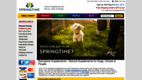 What Springtimeinc.com website looked like in 2021 (3 years ago)