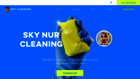 What Skycleaning.org website looked like in 2021 (3 years ago)