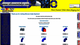 What Siliconeintakes.com website looked like in 2021 (3 years ago)