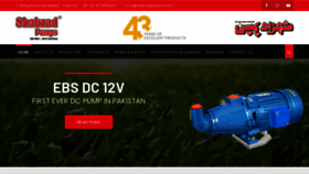 What Shahzadpumps.com website looked like in 2021 (3 years ago)
