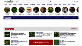 What Sariagri.id website looked like in 2021 (3 years ago)