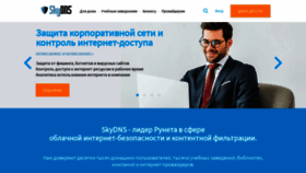 What Skydns.ru website looked like in 2021 (3 years ago)