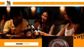 What Singha.com website looked like in 2021 (4 years ago)