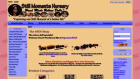 What Stillmomentsnursery.com website looked like in 2021 (3 years ago)
