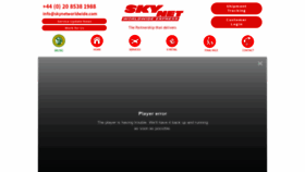 What Skynetworldwide.com website looked like in 2021 (3 years ago)