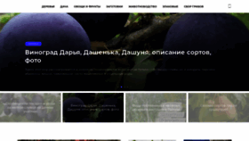 What Spasipiter.ru website looked like in 2021 (3 years ago)
