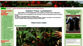 What Svoitomaty.ru website looked like in 2021 (3 years ago)