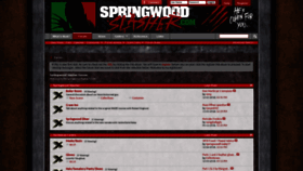 What Springwoodslasher.com website looked like in 2021 (3 years ago)