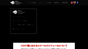 What Skateboards.jp website looked like in 2021 (3 years ago)