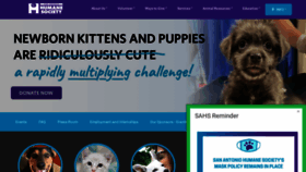 What Sahumane.org website looked like in 2021 (3 years ago)