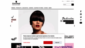 What Schwarzkopf-professionalusa.com website looked like in 2021 (2 years ago)