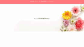 What Shikinuma.com website looked like in 2021 (2 years ago)