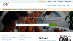 What Springest.nl website looked like in 2021 (4 years ago)