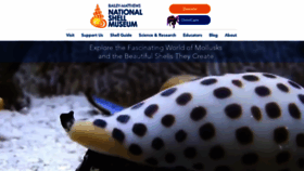 What Shellmuseum.org website looked like in 2021 (2 years ago)