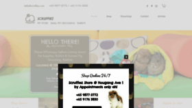 What Scruffiez.com website looked like in 2021 (2 years ago)