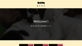 What Seina.org website looked like in 2021 (2 years ago)