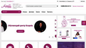 What Scopula.ru website looked like in 2021 (2 years ago)
