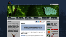 What Stopbmsb.org website looked like in 2021 (3 years ago)