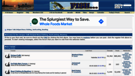 What Striped-bass.com website looked like in 2021 (2 years ago)