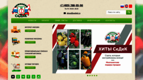 What Sedek.ru website looked like in 2021 (2 years ago)