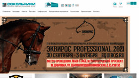 What Sokolniki.com website looked like in 2021 (2 years ago)