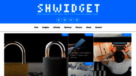 What Shwidget.com website looked like in 2021 (2 years ago)