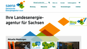 What Saena.de website looked like in 2021 (2 years ago)