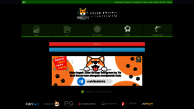 What Shibatoto.com website looked like in 2021 (2 years ago)