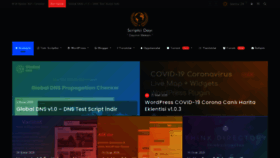 What Scriptcidayi.net website looked like in 2021 (3 years ago)