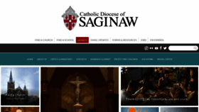 What Saginaw.org website looked like in 2021 (4 years ago)