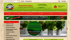 What Seedsmail.ru website looked like in 2021 (2 years ago)