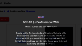What Sneak.pw website looked like in 2021 (2 years ago)