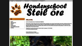 What Steilore.nl website looked like in 2022 (2 years ago)