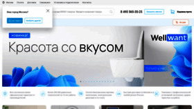 What Santehnika-tut.ru website looked like in 2022 (2 years ago)