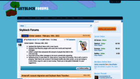 What Skyblock.net website looked like in 2022 (2 years ago)