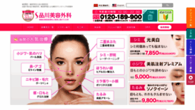 What Shinagawa.com website looked like in 2022 (2 years ago)