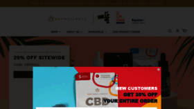 What Skywellness.com website looked like in 2022 (3 years ago)