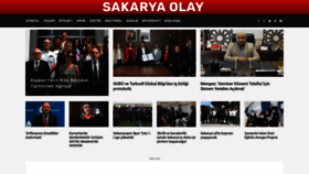 What Sakaryaolay.com website looked like in 2022 (2 years ago)