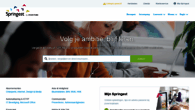 What Springest.nl website looked like in 2022 (3 years ago)
