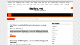 What Stallas.net website looked like in 2022 (1 year ago)