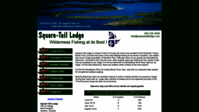 What Squaretaillodge.com website looked like in 2022 (1 year ago)