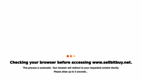 What Sellbitbuy.net website looked like in 2022 (1 year ago)