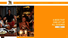 What Singha.com website looked like in 2022 (2 years ago)